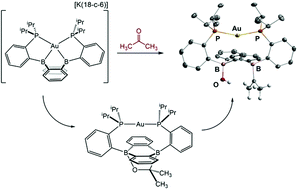 Graphical abstract: C [[double bond, length as m-dash]] O scission and reductive coupling of organic carbonyls by a redox-active diboraanthracene