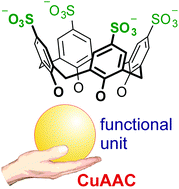 Graphical abstract: A route to virtually unlimited functionalization of water-soluble p-sulfonatocalix[4]arenes