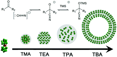 Graphical abstract: A micro-environment tuning approach for enhancing the catalytic capabilities of lanthanide containing polyoxometalate in the cyanosilylation of ketones