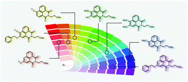 Graphical abstract: Mixed alkoxy/hydroxy 1,8-naphthalimides: expanded fluorescence colour palette and in vitro bioactivity