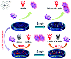 Graphical abstract: Gold nanoparticles decorated carbon nitride nanosheets as a coreactant regulate the conversion of the dual-potential electrochemiluminescence of Ru(bpy)32+ for Hg2+ detection