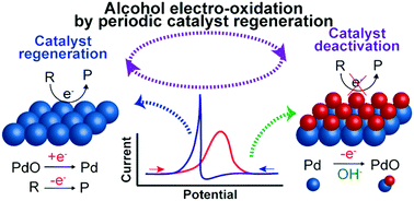 Graphical abstract: In situ catalyst reactivation for enhancing alcohol electro-oxidation and coupled hydrogen generation