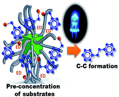 Graphical abstract: The synergy between the CsPbBr3 nanoparticle surface and the organic ligand becomes manifest in a demanding carbon–carbon coupling reaction