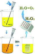 Graphical abstract: In situ formation and immobilization of gold nanoparticles on polydimethylsiloxane (PDMS) exhibiting catalase-mimetic activity