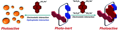 Graphical abstract: A donor–acceptor type macrocycle: toward photolyzable self-assembly
