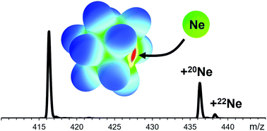 Graphical abstract: First steps towards a stable neon compound: observation and bonding analysis of [B12(CN)11Ne]−