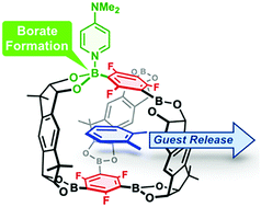Graphical abstract: Controlled release of the guest molecule via borate formation of a fluorinated boronic ester cage