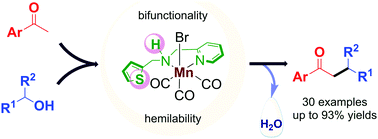 Graphical abstract: Manganese complex-catalysed α-alkylation of ketones with secondary alcohols enables the synthesis of β-branched carbonyl compounds