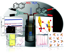 Graphical abstract: A supramolecular hydrogel derived from a simple organic salt capable of proton conduction