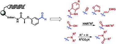 Graphical abstract: Solid-phase synthesis of DNA-encoded libraries via an “aldehyde explosion” strategy