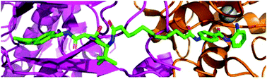 Graphical abstract: PROTAC-mediated degradation of class I histone deacetylase enzymes in corepressor complexes