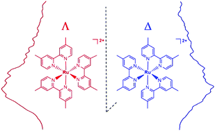 Graphical abstract: Chiroptical detection of a model ruthenium dye in water by circularly polarized-electrochemiluminescence