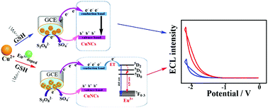 Graphical abstract: Synthesis of europium(iii)-doped copper nanoclusters for electrochemiluminescence bioanalysis