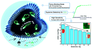 Graphical abstract: Two-photon background-free fluorescence assay for glutathione over cysteine and homocysteine in vitro and vivo