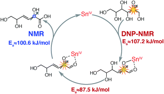 Graphical abstract: Catalytic cycle of carbohydrate dehydration by Lewis acids: structures and rates from synergism of conventional and DNP NMR