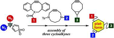 Graphical abstract: Facile assembly of three cycloalkyne-modules onto a platform compound bearing thiophene S,S-dioxide moiety and two azido groups