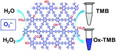 Graphical abstract: Graphdiyne oxide: a new carbon nanozyme