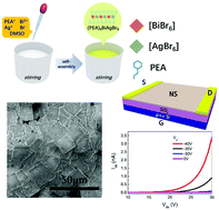 Graphical abstract: Synthesis of large two-dimensional lead-free bismuth–silver double perovskite microplatelets and their application for field-effect transistors