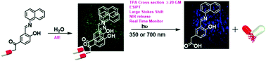 Graphical abstract: A two-photon responsive naphthyl tagged p-hydroxyphenacyl based drug delivery system: uncaging of anti-cancer drug in the phototherapeutic window with real-time monitoring