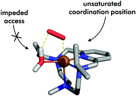 Graphical abstract: Unveiling the reaction mechanism of novel copper N-alkylated tetra-azacyclophanes with outstanding superoxide dismutase activity