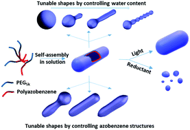 Graphical abstract: Smart azobenzene-containing tubular polymersomes: fabrication and multiple morphological tuning