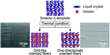 Graphical abstract: Thermally tunable selective formation of self-assembled fibers into two orthogonal directions in oriented liquid-crystalline smectic templates