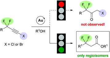 Graphical abstract: Drastic fluorine effect: complete reversal of the selectivity in the Au-catalyzed hydroalkoxylation reaction of fluorinated haloalkynes