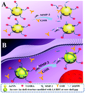 Graphical abstract: An accurate and ultrasensitive SERS sensor with Au–Se interface for bioimaging and in situ quantitation