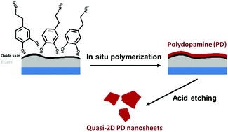 Graphical abstract: Liquid metal exfoliation of two dimensional polydopamine nanosheets for templated assembly of noble metal nanoparticles