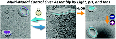 Graphical abstract: Multi-modal control over the assembly of a molecular motor bola-amphiphile in water