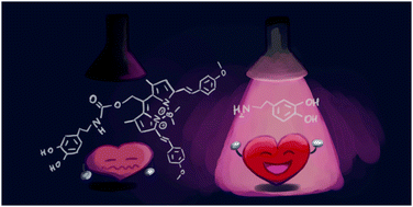 Graphical abstract: Red-light-sensitive BODIPY photoprotecting groups for amines and their biological application in controlling heart rhythm