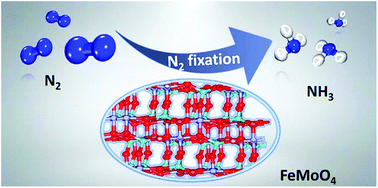 Graphical abstract: FeMoO4 nanorods for efficient ambient electrochemical nitrogen reduction