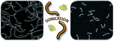 Graphical abstract: A facile method for generating worm-like micelles with controlled lengths and narrow polydispersity