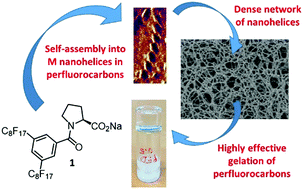 Graphical abstract: A fluorous sodium l-prolinate derivative as low molecular weight gelator for perfluorocarbons