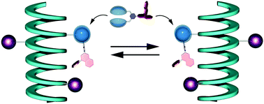 Graphical abstract: Helicity of a polyacetylene directed by molecular recognition of biscalixarene and fullerene