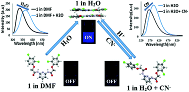 Graphical abstract: A highly sensitive “ON–OFF” optical sensor for the selective detection of cyanide ions in 100% aqueous solutions based on hydrogen bonding and water assisted aggregation induced emission