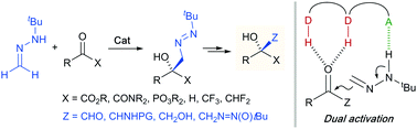 Graphical abstract: Formaldehyde tert-butyl hydrazone as a formyl anion equivalent: asymmetric addition to carbonyl compounds