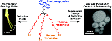 Graphical abstract: Reversible formation of multiple stimuli-responsive polymeric materials through processing control of trifunctional amphiphilic molecules