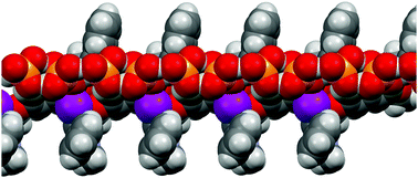 Graphical abstract: Formation of self-assembled supramolecular polymers by anti-electrostatic anion–anion and halogen bonding interactions