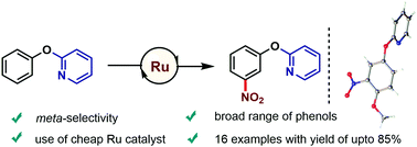 Graphical abstract: A directing group-assisted ruthenium-catalyzed approach to access meta-nitrated phenols