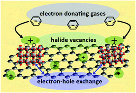 Graphical abstract: The role of anions and cations in the gas sensing mechanisms of graphene decorated with lead halide perovskite nanocrystals