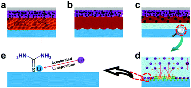 Graphical abstract: An asymmetric quasi-solid electrolyte for high-performance Li metal batteries