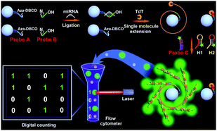 Graphical abstract: An emulsion-free digital flow cytometric platform for the precise quantification of microRNA based on single molecule extension-illuminated microbeads (dFlowSeim)