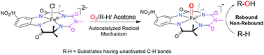 Graphical abstract: Selective oxygenation of unactivated C–H bonds by dioxygen via the autocatalytic formation of oxoiron(v) species