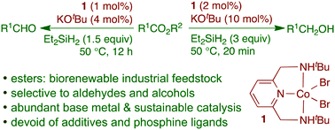Graphical abstract: Cobalt-catalysed selective synthesis of aldehydes and alcohols from esters