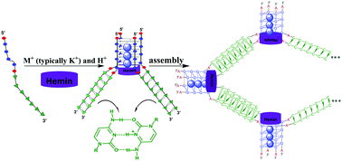 Graphical abstract: Acid-facilitated G-quadruplex/hemin DNAzymes: accompanied by the assembly of quadruplex supramolecules