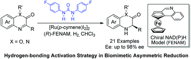 Graphical abstract: Biomimetic asymmetric reduction of benzoxazinones and quinoxalinones using ureas as transfer catalysts
