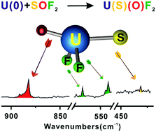 Graphical abstract: Sulfur-substituted uranyl stabilized by fluoride ligands: matrix preparation of U(O)(S)F2via oxidation of U(0) by SOF2