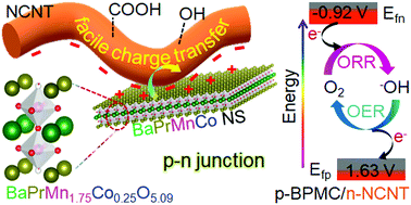 Graphical abstract: Charge transfer from perovskite oxide nanosheets to N-doped carbon nanotubes to promote enhanced performance of a zinc–air battery