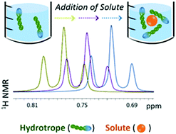 Graphical abstract: Unveiling the mechanism of hydrotropy: evidence for water-mediated aggregation of hydrotropes around the solute